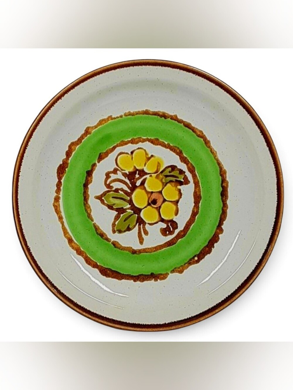 International China Stoneybrook Visions Salad Plate MCM Retro Floral Stoneware